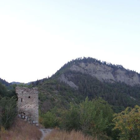 Отель Dalko Боржоми Экстерьер фото