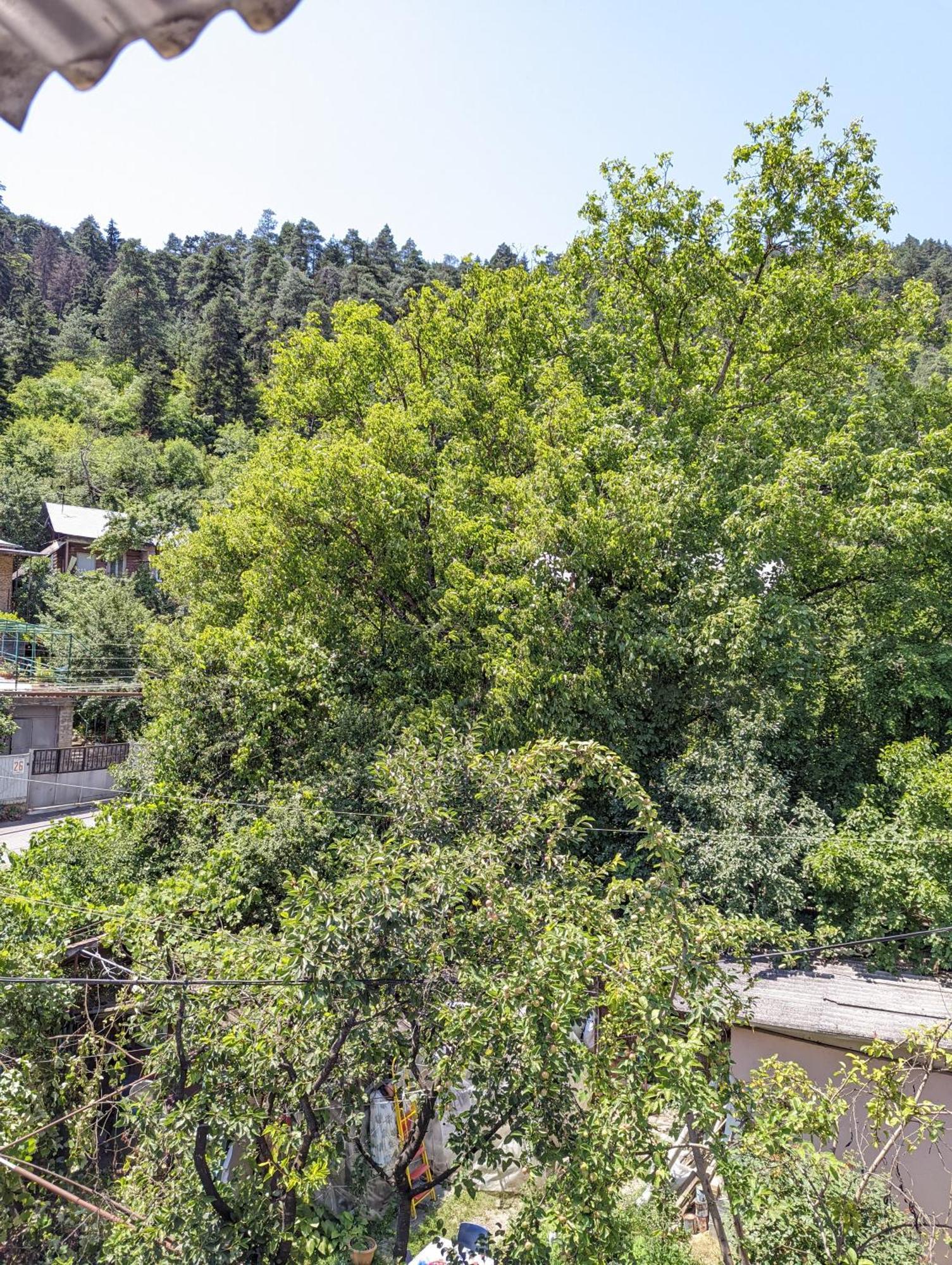 Отель Dalko Боржоми Номер фото