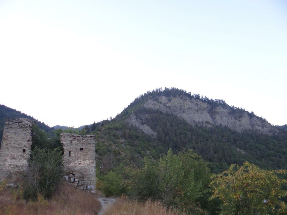 Отель Dalko Боржоми Экстерьер фото